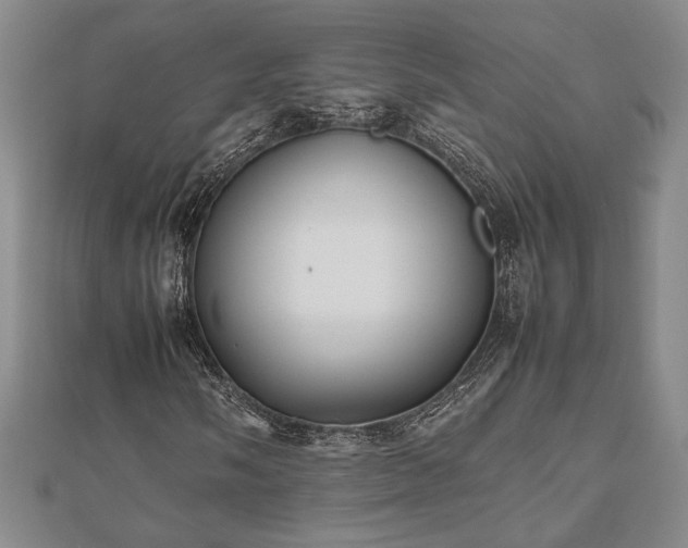 X0000112471058200908241228