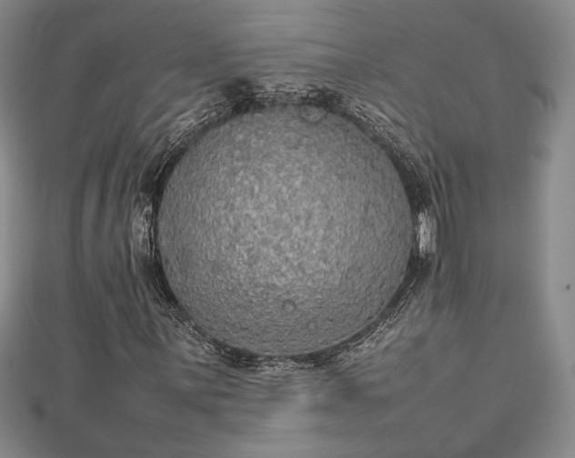 X0000112471059200908241228