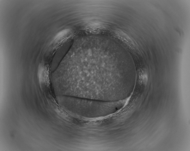 X0000112471060200908241228