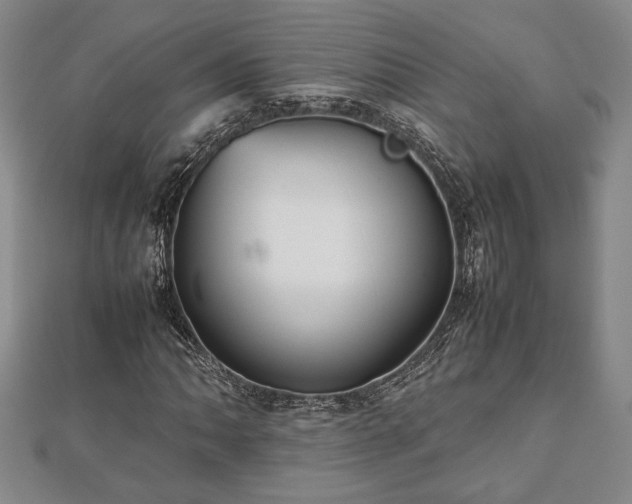 X0000112471062200908241228