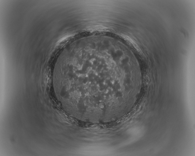 X0000112471063200908241228