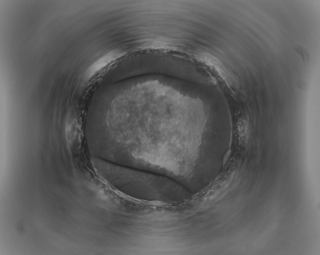 X0000112471064200908241228