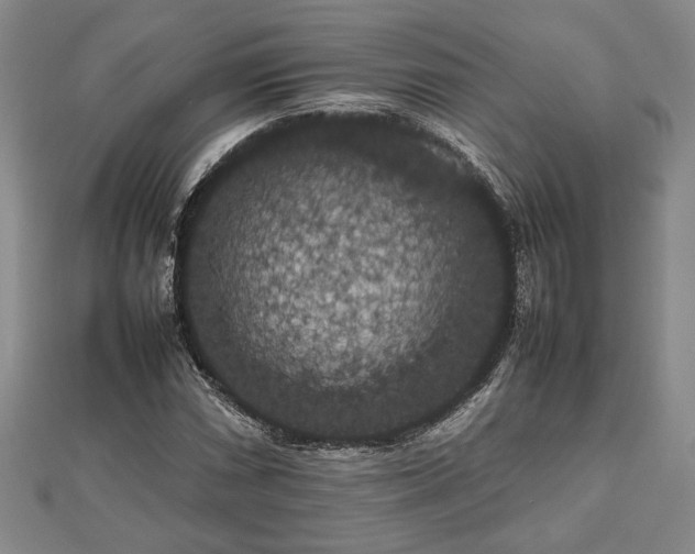 X0000112471066200908241228