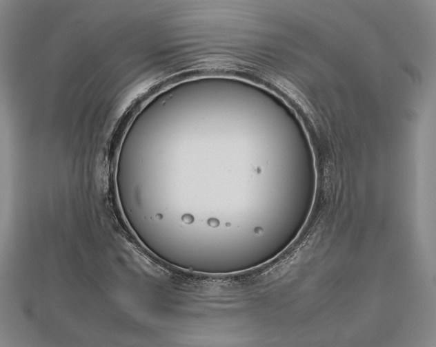 X0000112471067200908241228