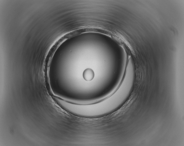 X0000112471068200908241228