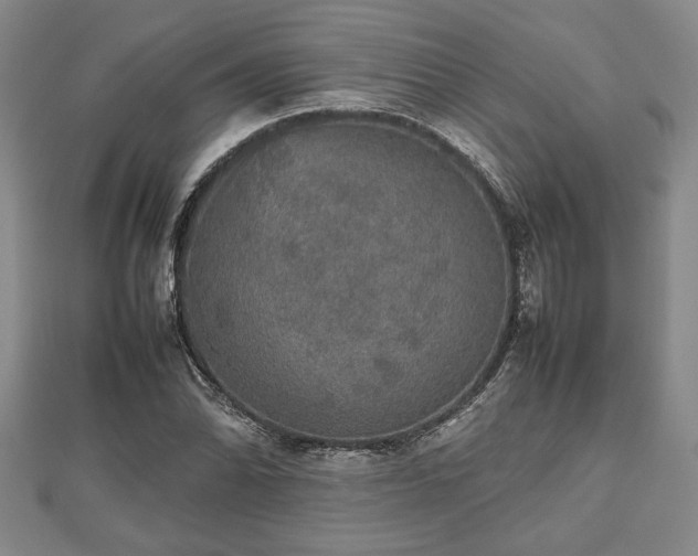 X0000112471070200908241228