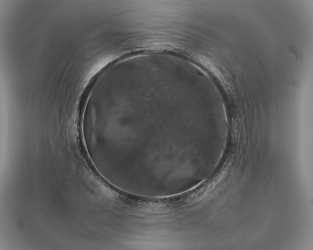 X0000112471071200908241228