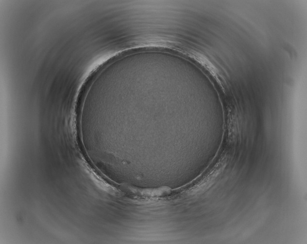 X0000112471072200908241228