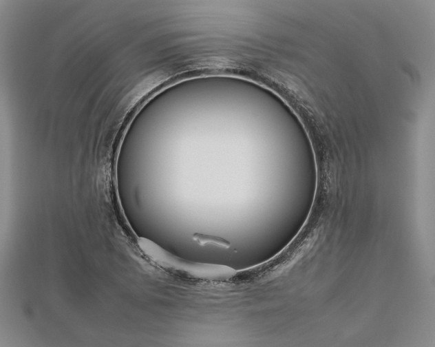 X0000112471073200908241228