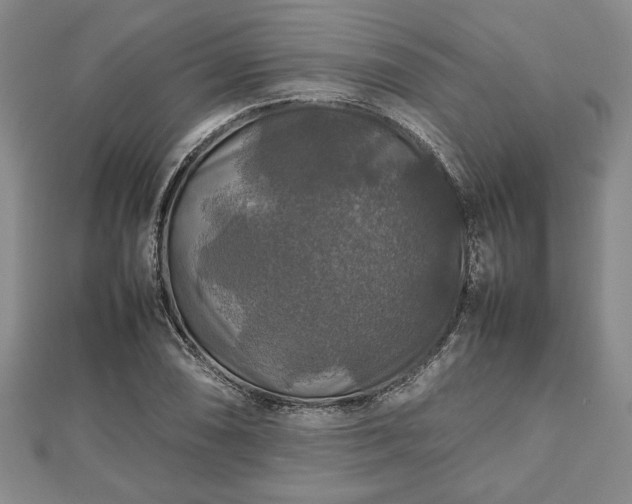 X0000112471074200908241228