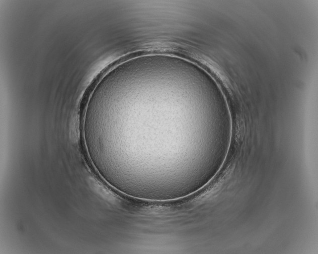 X0000112471075200908241228