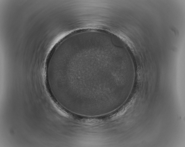 X0000112471077200908241228