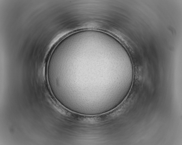 X0000112471078200908241228