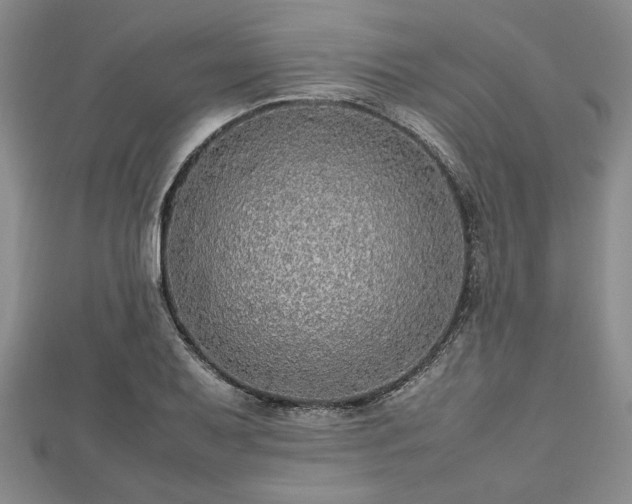 X0000112471079200908241228