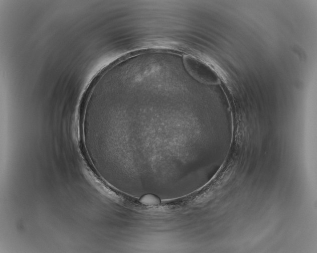 X0000112471080200908241228