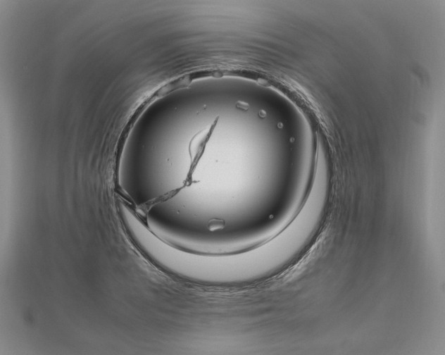 X0000112471081200908241228