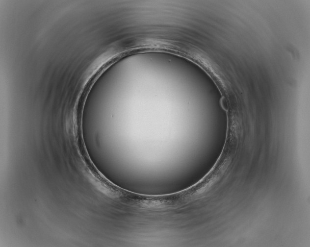 X0000112471082200908241228