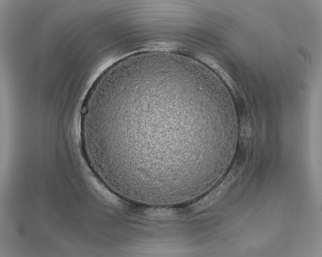 X0000112471083200908241228