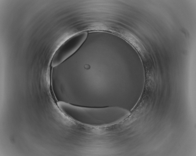 X0000112471084200908241228