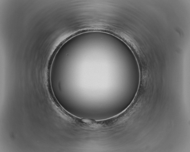 X0000112471085200908241228