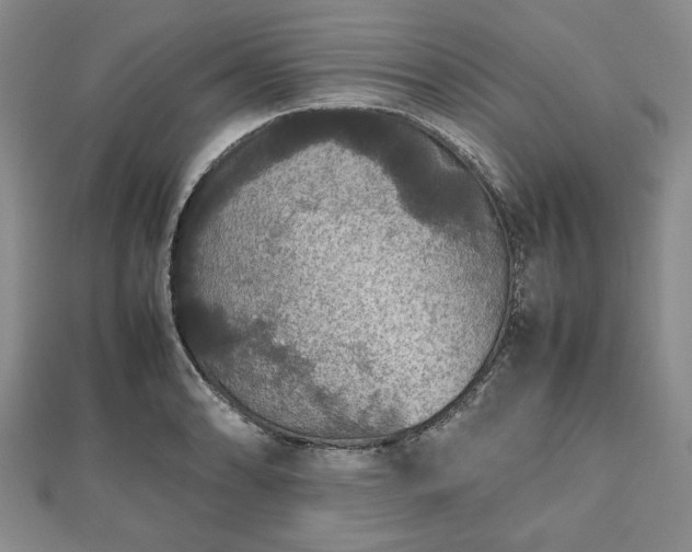 X0000112471086200908241228