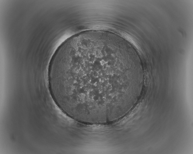 X0000112471087200908241228