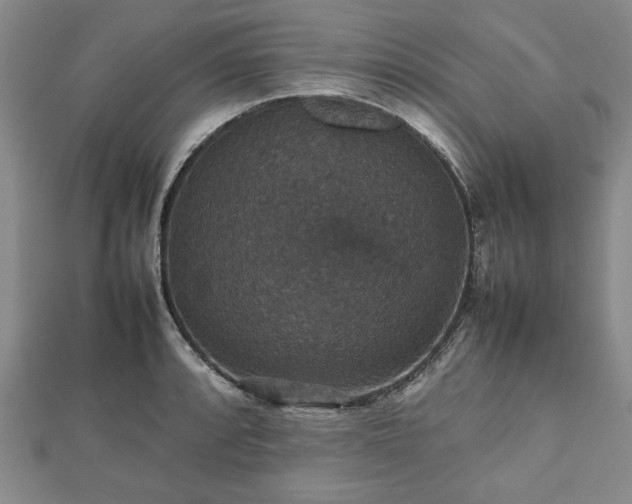 X0000112471088200908241228