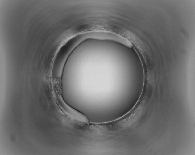 X0000112471089200908241228