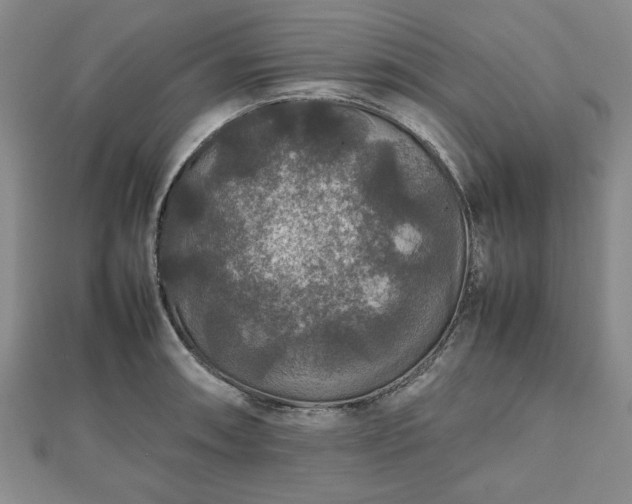 X0000112471090200908241228