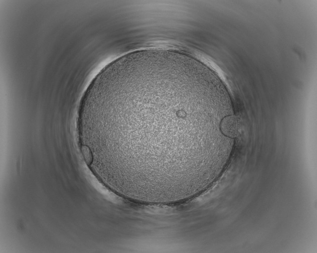 X0000112471091200908241228