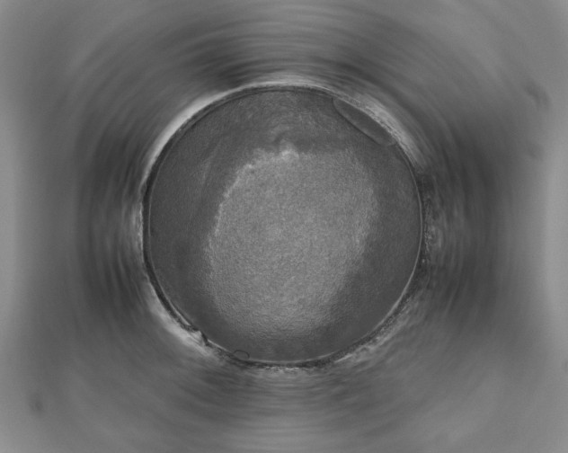 X0000112471092200908241228