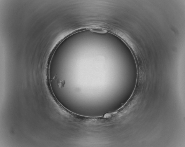 X0000112471093200908241228