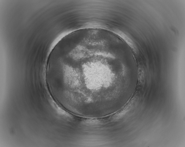 X0000112471094200908241228