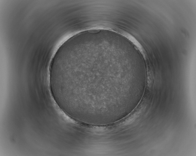 X0000112471096200908241228