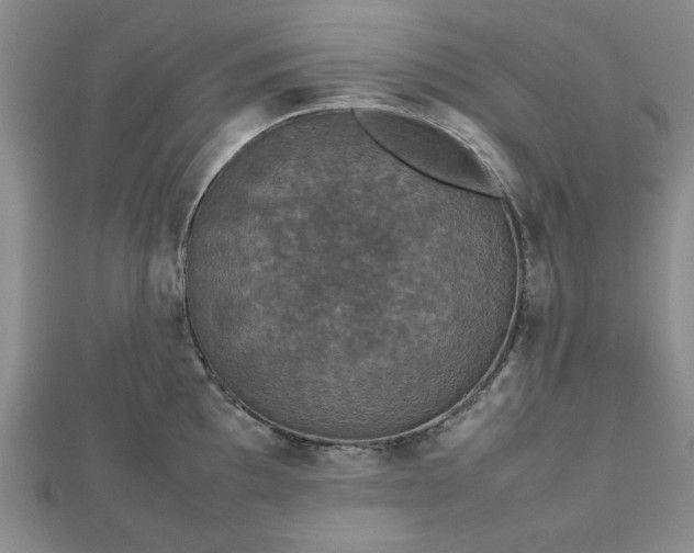 X0000112471097200908241228