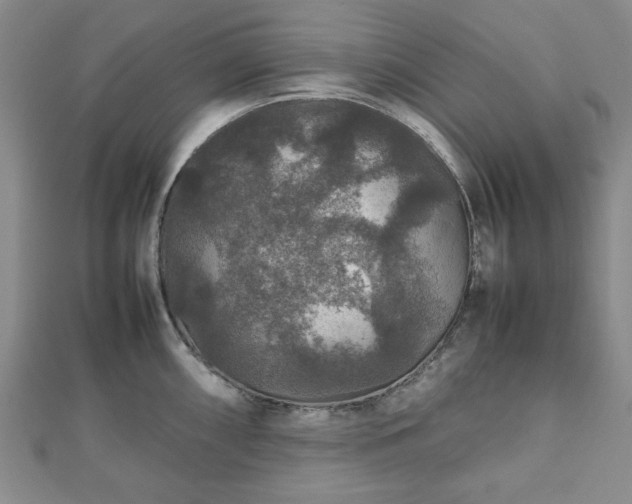 X0000112471098200908241228