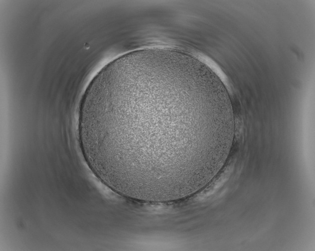 X0000112471099200908241227