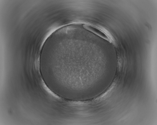 X0000112471100200908241227