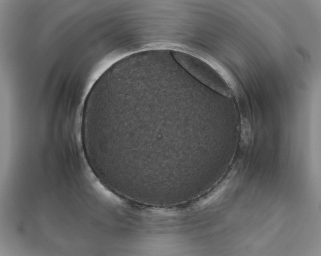 X0000112471102200908241227