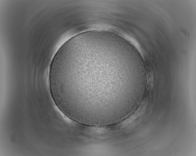 X0000112471103200908241227