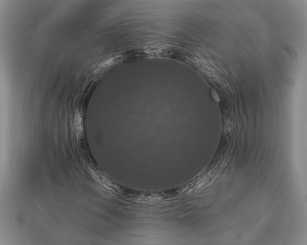 X0000112471106200908241227