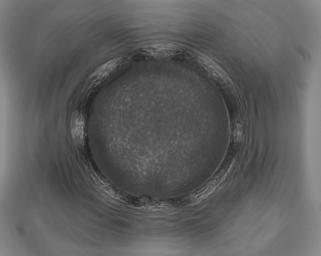 X0000112471108200908241227