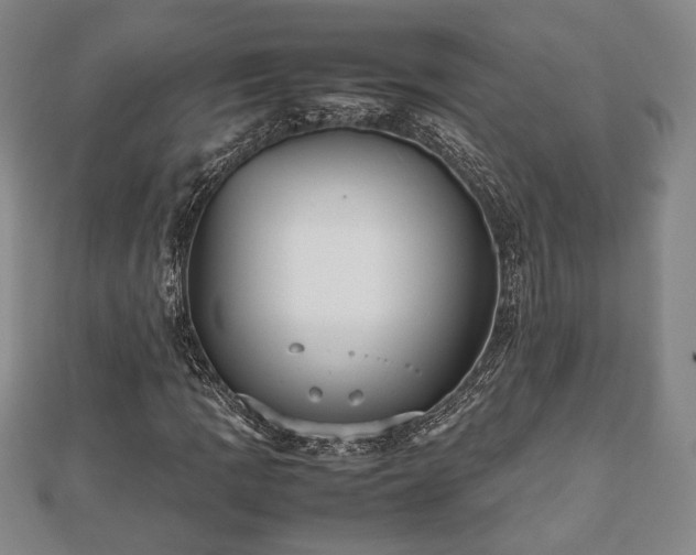 X0000112471109200908241227