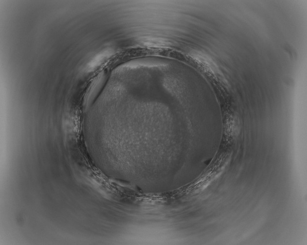 X0000112471110200908241227