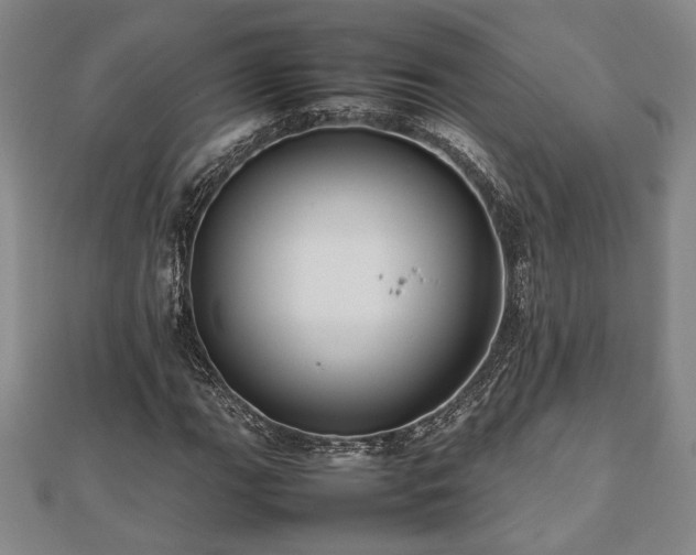 X0000112471111200908241227