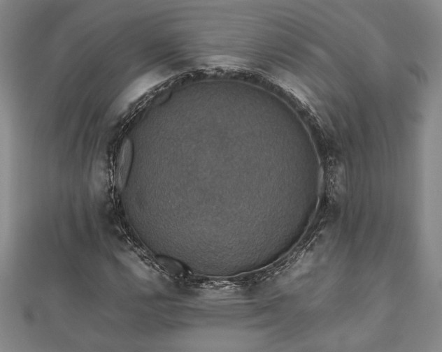 X0000112471112200908241227