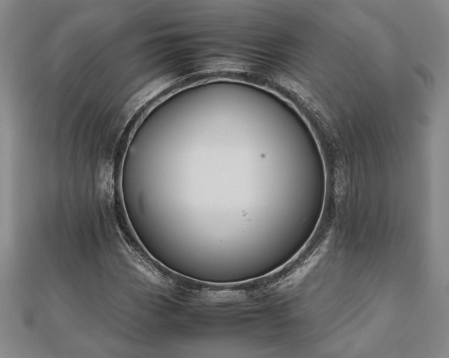 X0000112471113200908241227