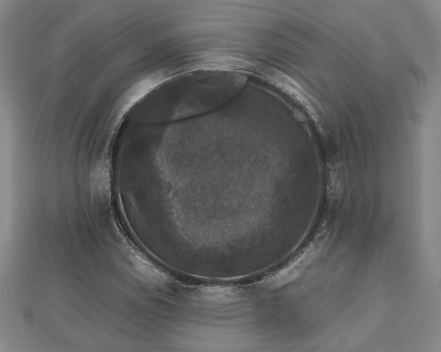 X0000112471114200908241227