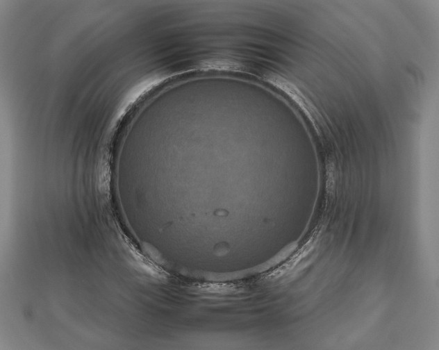 X0000112471115200908241227