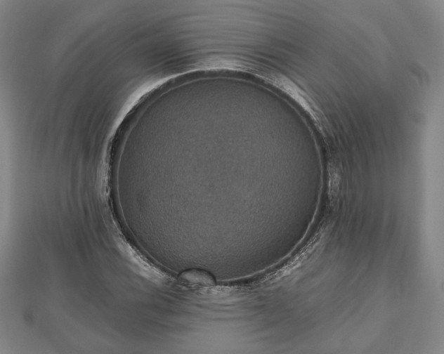 X0000112471116200908241227